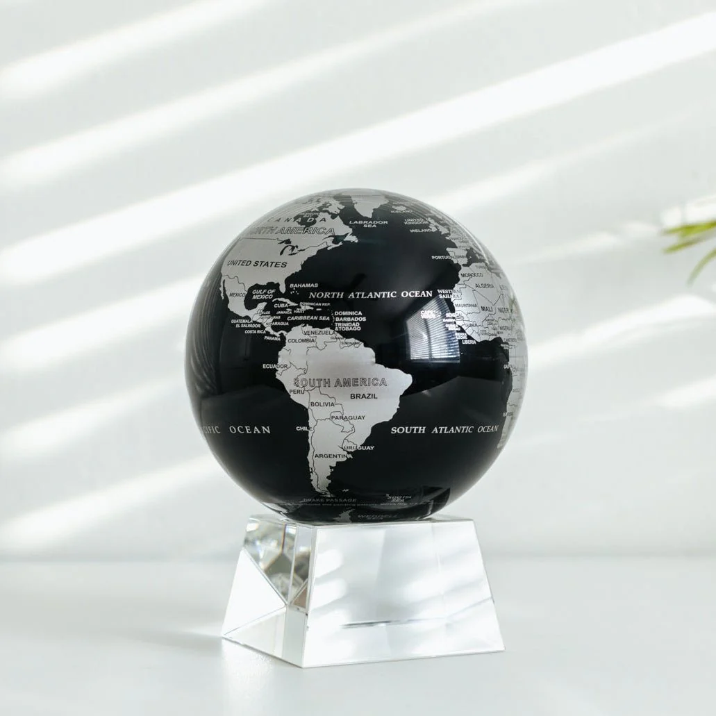 Jet Black & Silver Globe - Image 18