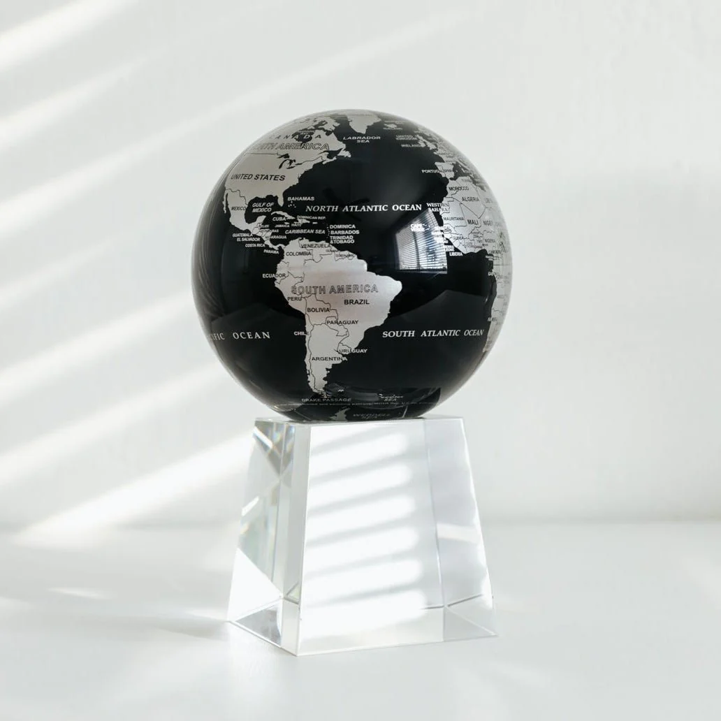 Jet Black & Silver Globe - Image 19